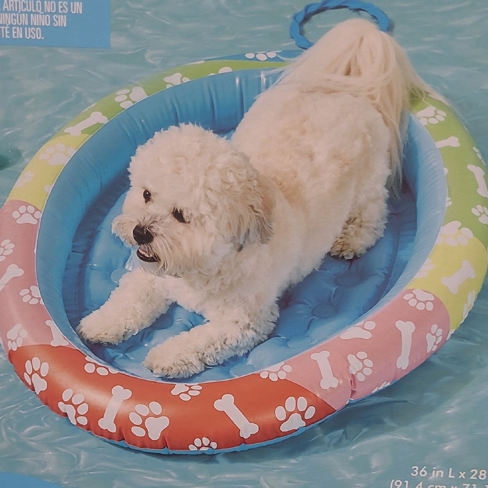 Multicolored Inflatable Pool Float for Small Pet - Picture 4 of 4